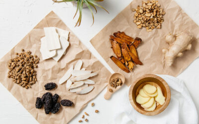 Cancer Chemoprevention And Therapy Using Chinese Herbal Medicine